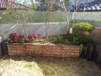 20130111-1.jpg