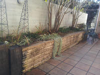 20130111-3.jpg