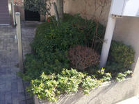 20130111-5.jpg