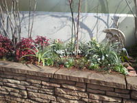 20130123-0.jpg