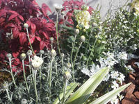 20130123-1.jpg