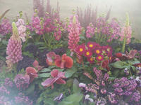20130123-10.jpg