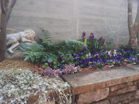 20130123-11.jpg