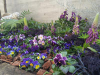 20130123-12.jpg