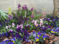 20130123-13.jpg