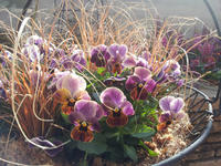 20130123-14.jpg