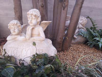 20130123-15.jpg