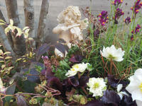 20130123-16.jpg