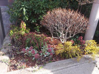 20130123-18.jpg
