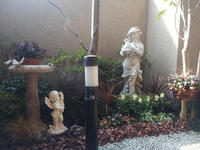 20130123-19.jpg