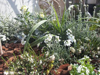 20130123-2.jpg