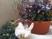 20130123-21.jpg