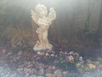 20130123-22.jpg