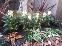 20130123-23.jpg