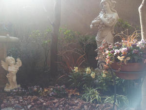 20130123-24.jpg