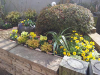 20130123-3.0.jpg