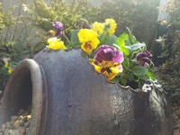 20130123-4.jpg