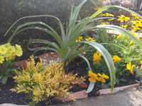 20130123-5.jpg