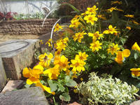 20130123-6.jpg