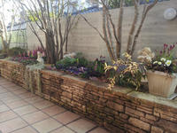 20130123-8.jpg