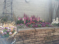 20130123-9.jpg