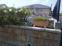 20130430-26.jpg