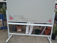 20130608_115254.jpg