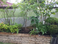 20130618_124259.jpg