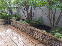 20130618_124334.jpg