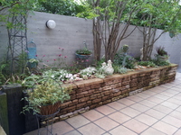 20130622_164451.jpg