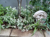 20130622_164626.jpg