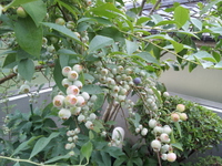 20130622_164636.jpg