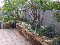 20130622_165850.jpg