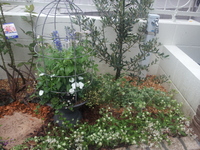 20130624_161312.jpg