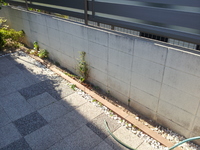 20130720_162541.jpg