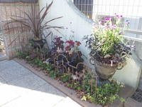 20130722_155522.jpg