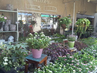 20130723_095523.jpg