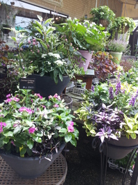 20130723_104203.jpg
