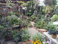 20130723_150732.jpg