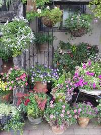 20130723_151315.jpg