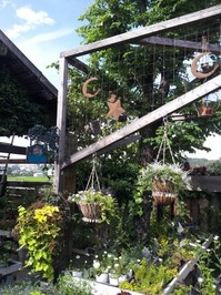 20130723_154802.jpg