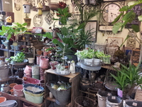 20130723_171136.jpg