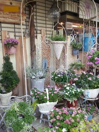 20130723_171147.jpg