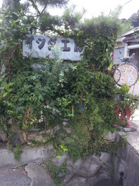 20130723_130607.jpg
