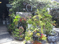20130723_130634.jpg