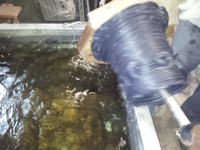 20130723_131925.jpg