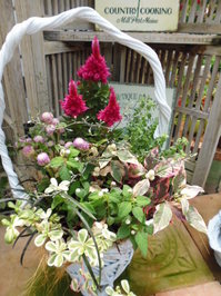 P1000053.JPG