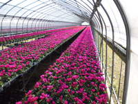 P1000319.JPG