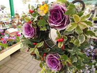 20131221-5.JPG