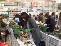 20140201-347.JPG